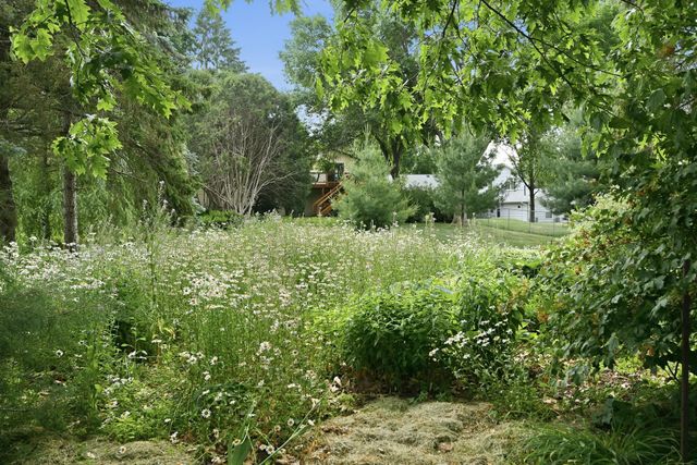 8527 Isle Avenue S, Cottage Grove, MN 55016