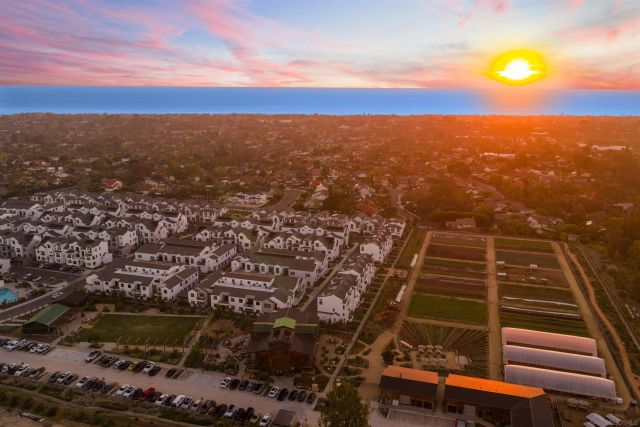 1602 San Remo Place 201, Encinitas, CA 92024