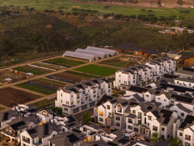 1602 San Remo Place 201, Encinitas, CA 92024
