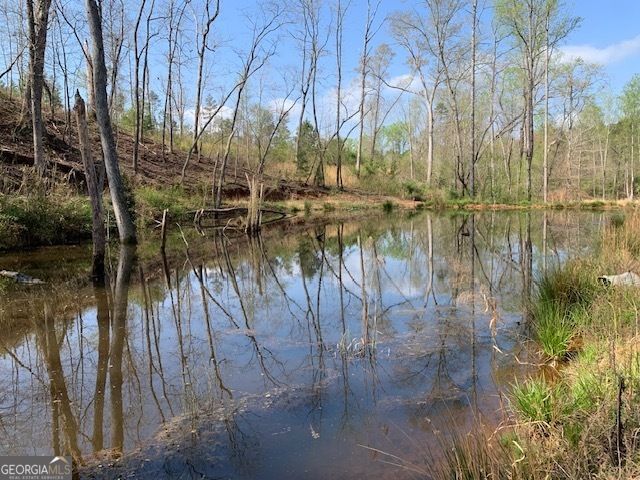 0 Veterans Drive, Danielsville, GA 30633