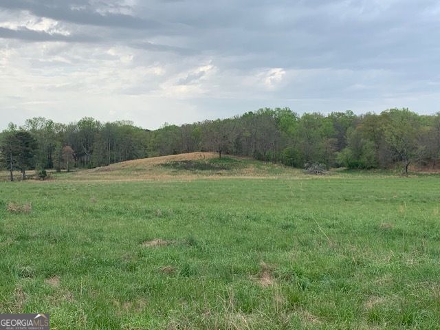 0 Veterans Drive, Danielsville, GA 30633