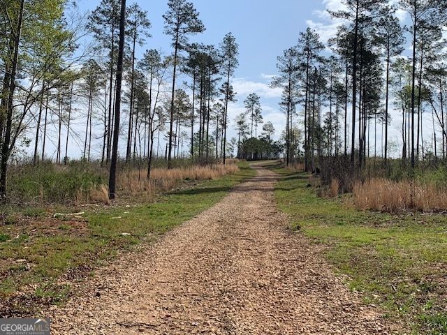 0 Veterans Drive, Danielsville, GA 30633