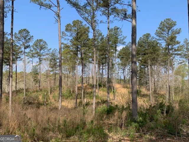 0 Veterans Drive, Danielsville, GA 30633