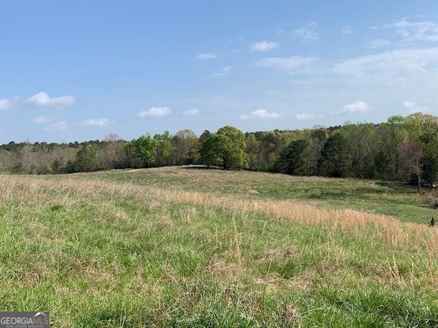 0 Veterans Drive, Danielsville, GA 30633