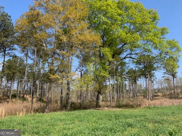 0 Veterans Drive, Danielsville, GA 30633