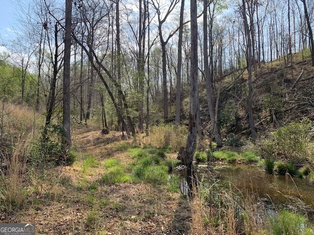 0 Veterans Drive, Danielsville, GA 30633
