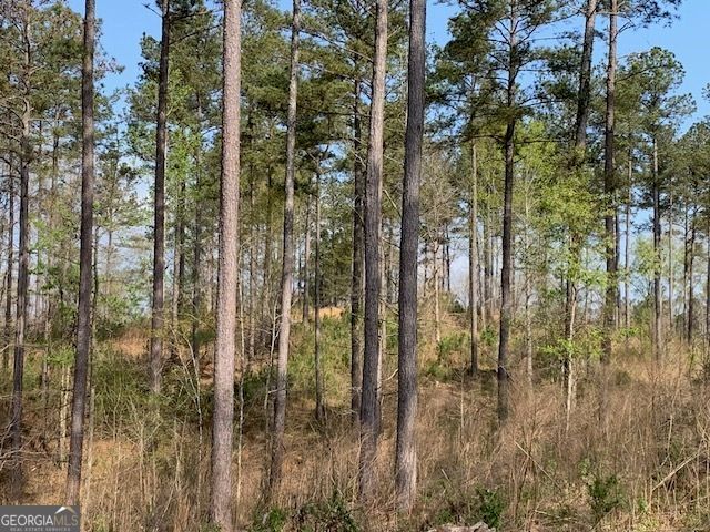 0 Veterans Drive, Danielsville, GA 30633