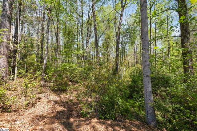 8 Silkvine Court, Travelers Rest, SC 29690