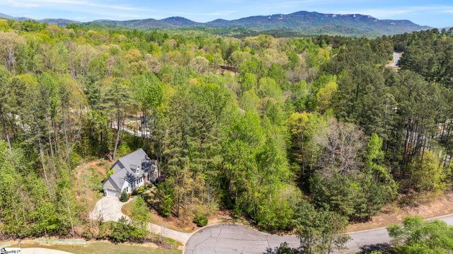 8 Silkvine Court, Travelers Rest, SC 29690