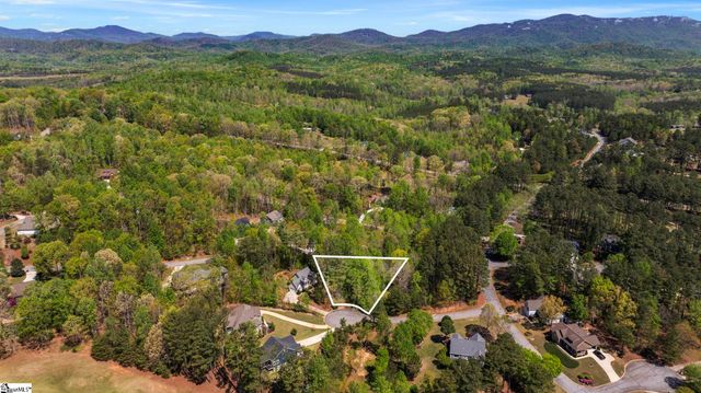 8 Silkvine Court, Travelers Rest, SC 29690