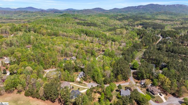8 Silkvine Court, Travelers Rest, SC 29690