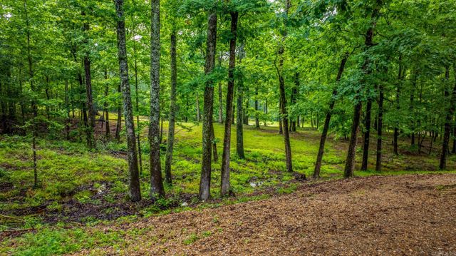 2110 Brush Mountain Trail, Paron, AR 72122
