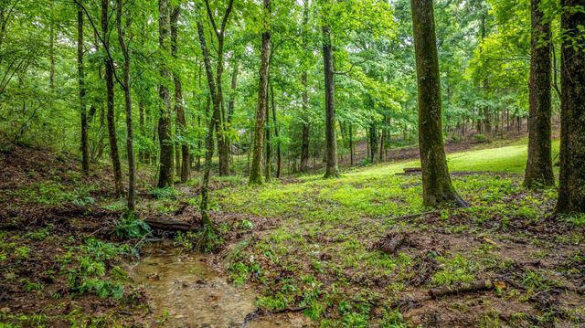 2110 Brush Mountain Trail, Paron, AR 72122
