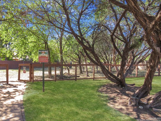 6905 Terra Rye, San Antonio, TX 78240