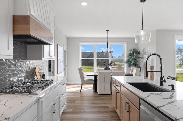 xxxx Alamo Street, East Bethel, MN 55011