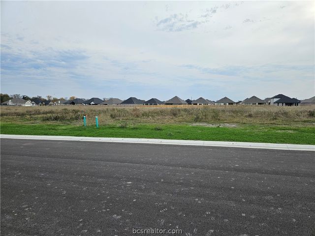 2805 Goldberg Drive, Bryan, TX 77808