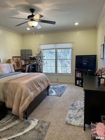 313 BOULDER CREEK, Chatham, IL 61629