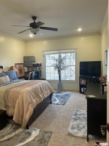 313 BOULDER CREEK, Chatham, IL 61629