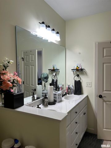 313 BOULDER CREEK, Chatham, IL 61629