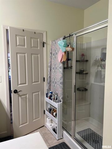 313 BOULDER CREEK, Chatham, IL 61629