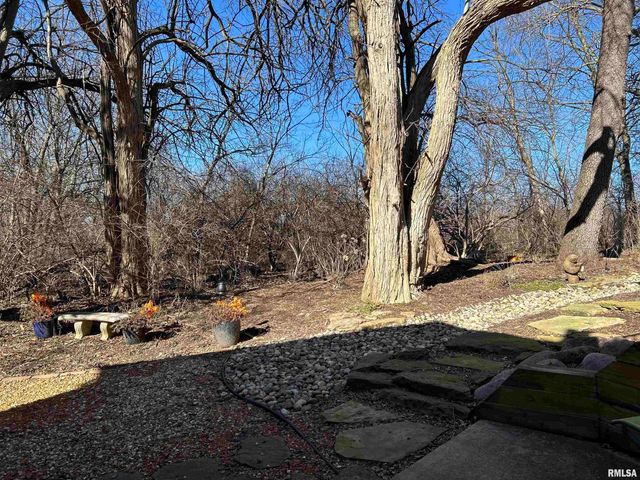 313 BOULDER CREEK, Chatham, IL 61629