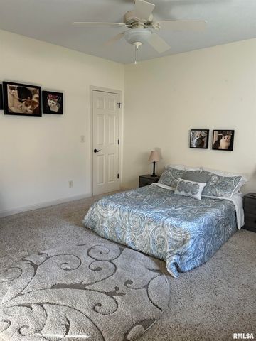 313 BOULDER CREEK, Chatham, IL 61629