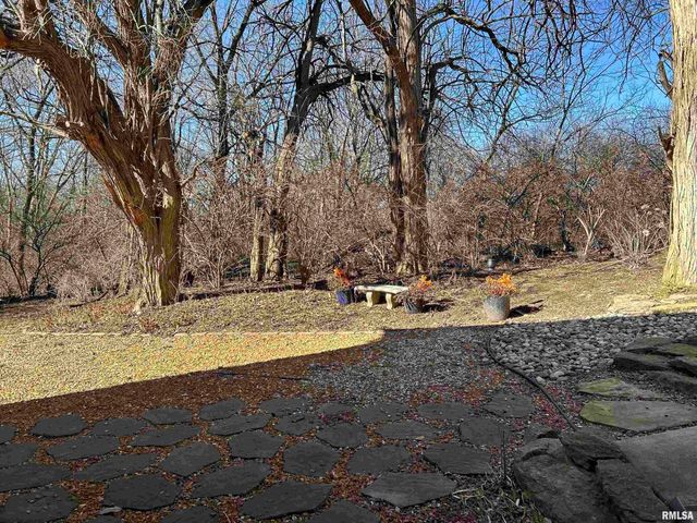 313 BOULDER CREEK, Chatham, IL 61629