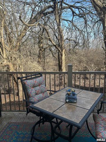 313 BOULDER CREEK, Chatham, IL 61629