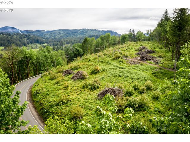 Mt Pleasant Rd, Washougal, WA 98671