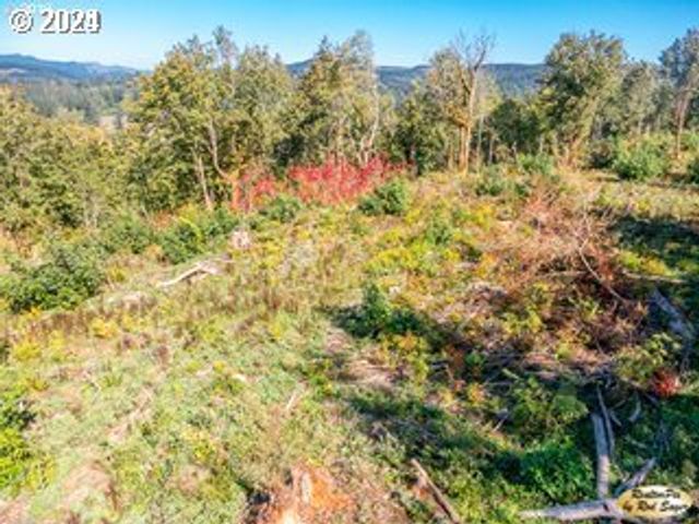 Mt Pleasant Rd, Washougal, WA 98671