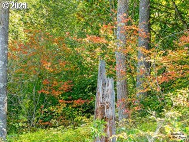 Mt Pleasant Rd, Washougal, WA 98671