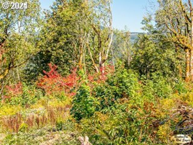 Mt Pleasant Rd, Washougal, WA 98671