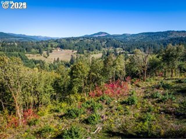 Mt Pleasant Rd, Washougal, WA 98671
