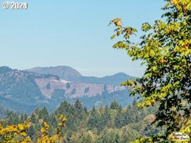 Mt Pleasant Rd, Washougal, WA 98671