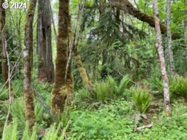 Mt Pleasant Rd, Washougal, WA 98671