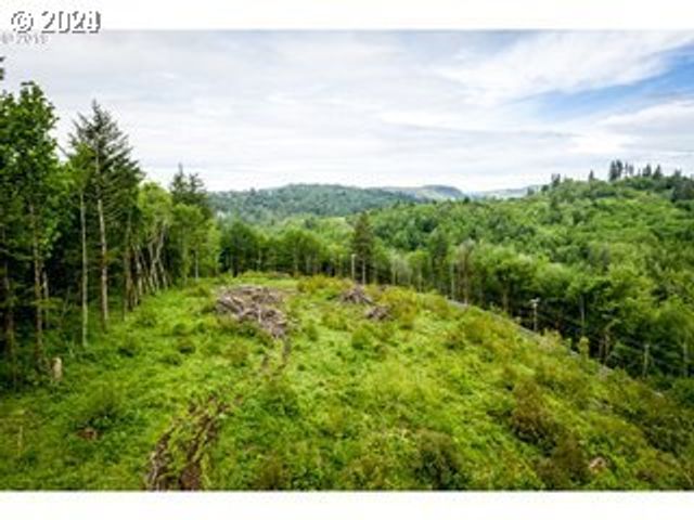 Mt Pleasant Rd, Washougal, WA 98671