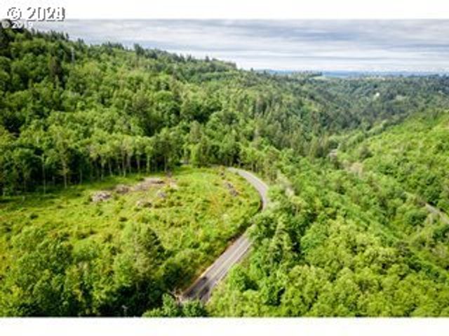 Mt Pleasant Rd, Washougal, WA 98671