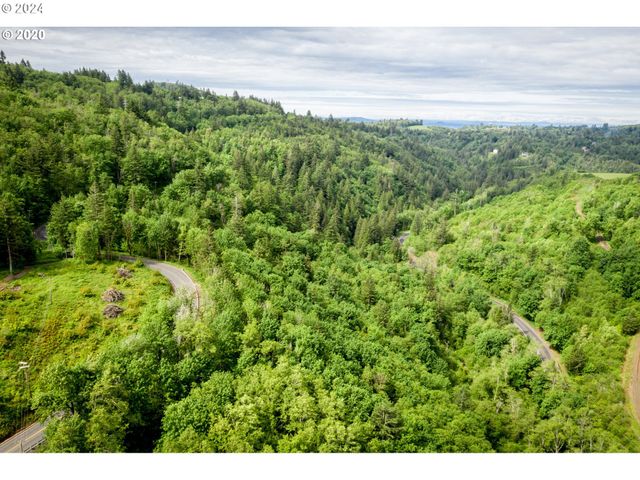 Mt Pleasant Rd, Washougal, WA 98671