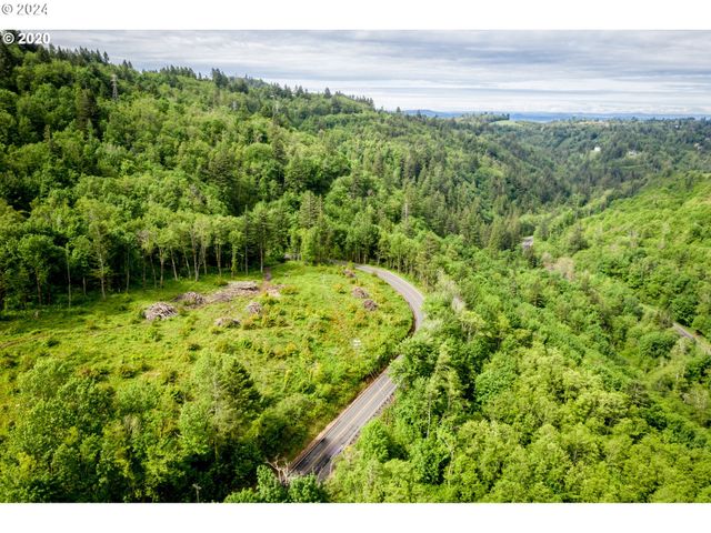 Mt Pleasant Rd, Washougal, WA 98671