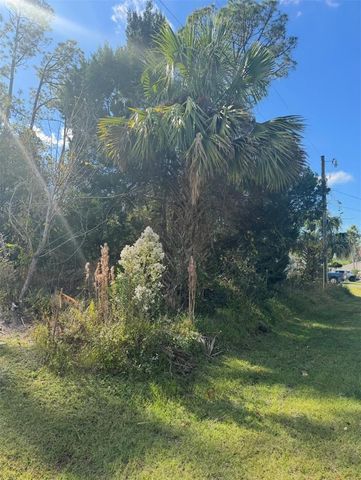 38 SLEEPY HOLLOW TRAIL, Palm Coast, FL 32164