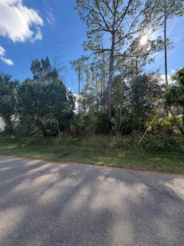 38 SLEEPY HOLLOW TRAIL, Palm Coast, FL 32164