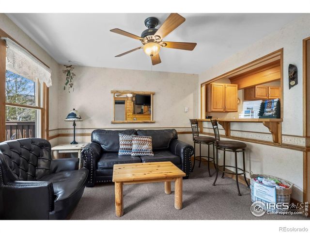 2625 Marys Lake Road 201, Estes Park, CO 80517