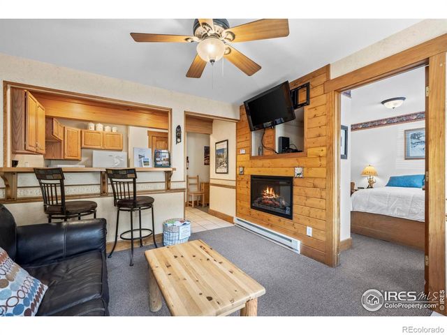 2625 Marys Lake Road 201, Estes Park, CO 80517
