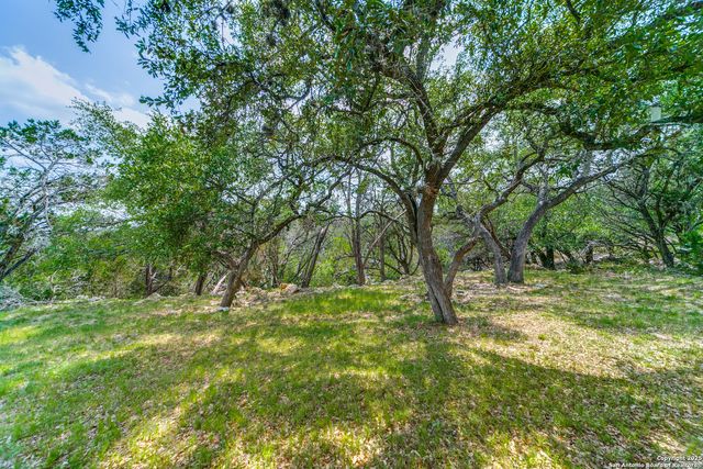 356 Warbler, Spring Branch, TX 78070
