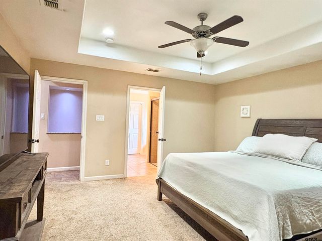 28 cr 3101, Pittsburg, TX 75686