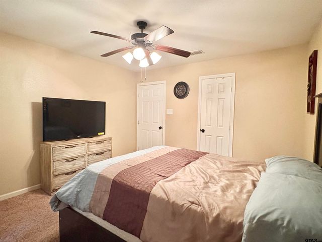 28 cr 3101, Pittsburg, TX 75686