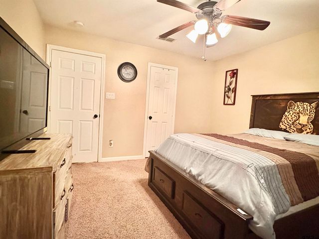 28 cr 3101, Pittsburg, TX 75686