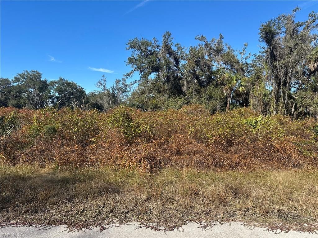 646 Kleinart DR NW, LEHIGH ACRES, FL 33972 — photo 2