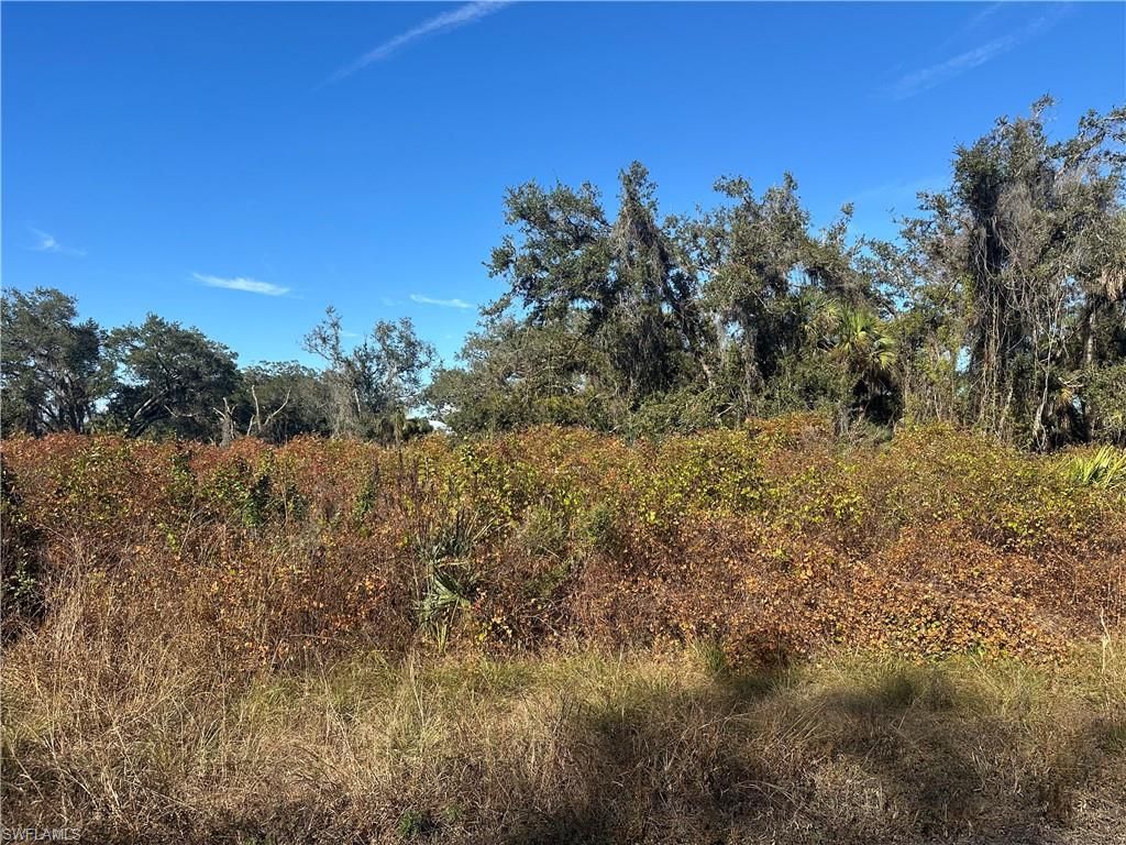 646 Kleinart DR NW, LEHIGH ACRES, FL 33972 — photo 3
