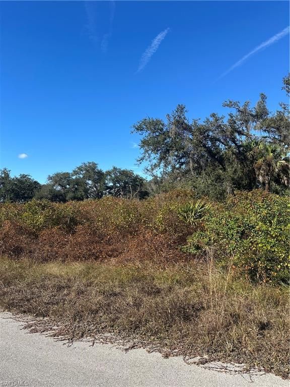 646 Kleinart DR NW, LEHIGH ACRES, FL 33972 — photo 4